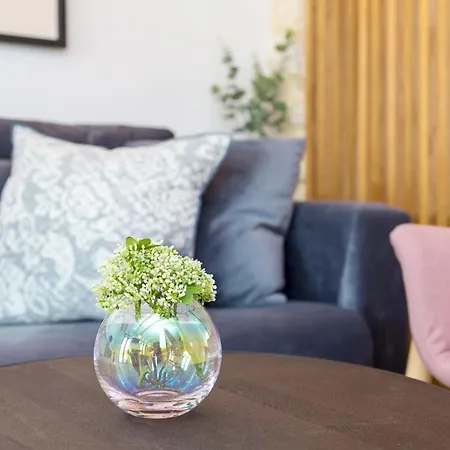 Apartment Comfort Center Studio Alicante